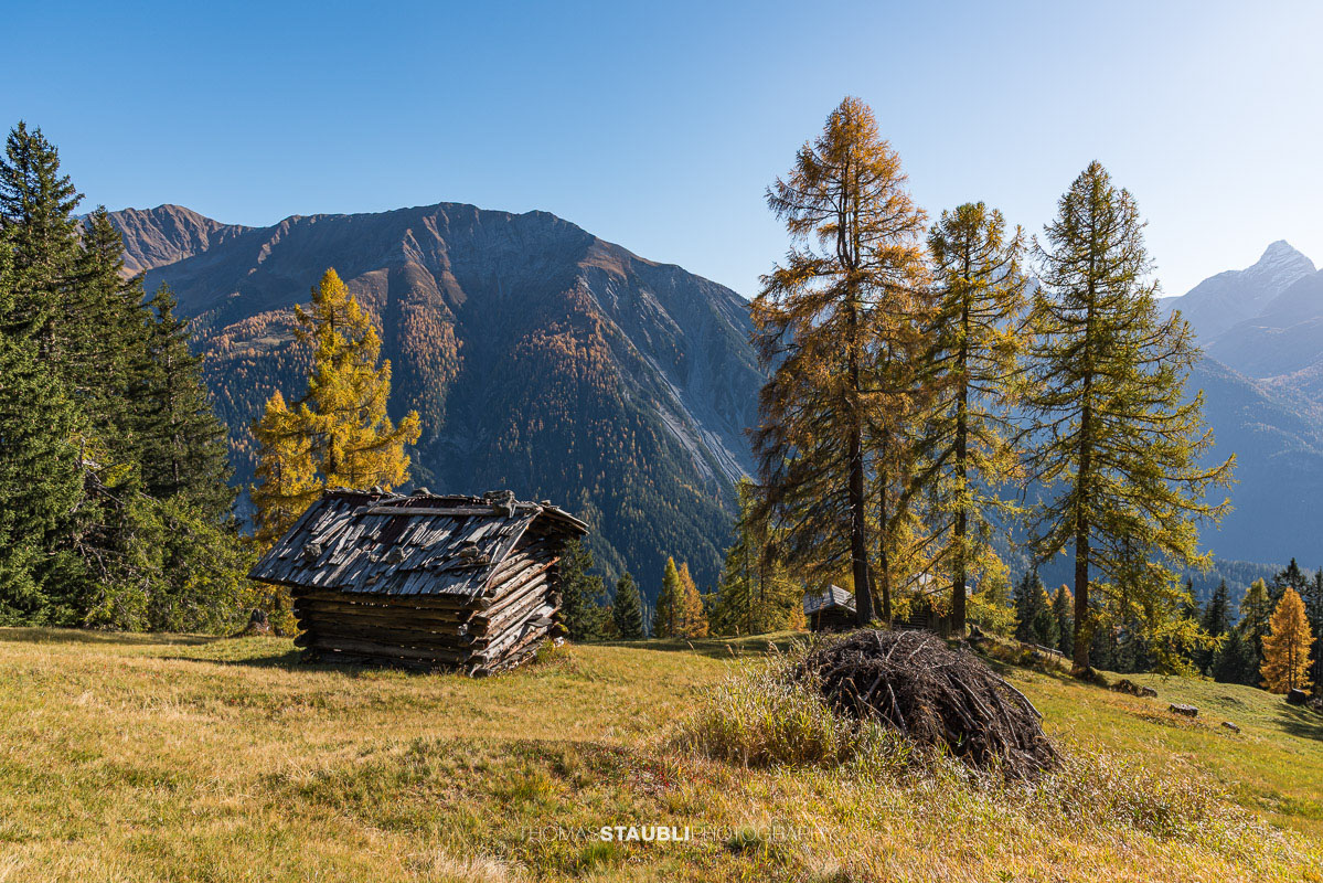 Rüggmad unterhalb der Wiesner Alp mit traditioneller Alpställen