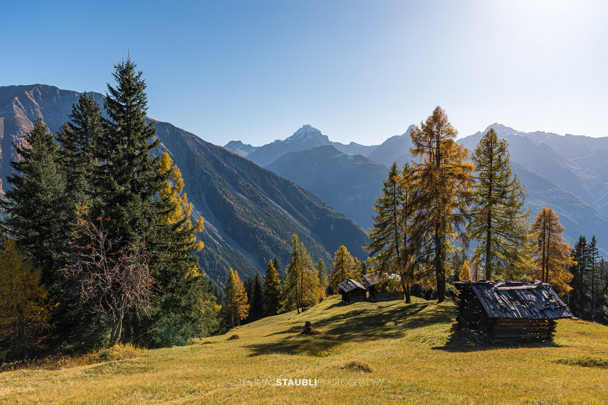 Rüggmad unterhalb der Wiesner Alp mit traditioneller Alpställen