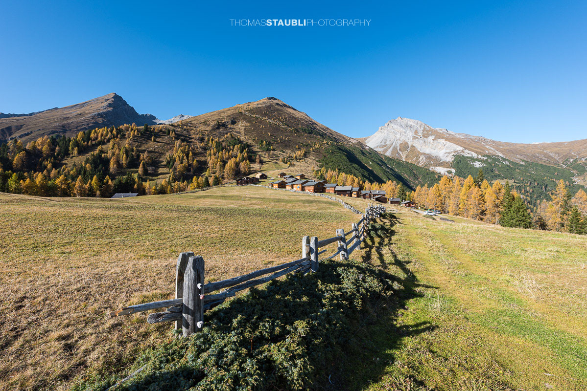 Wiesner Alp mit traditionellen Alphütten und goldgelben Lärchen im Herbst
