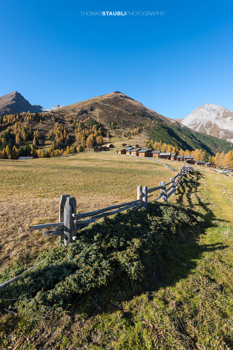 Wiesner Alp mit traditionellen Alphütten und goldgelben Lärchen im Herbst
