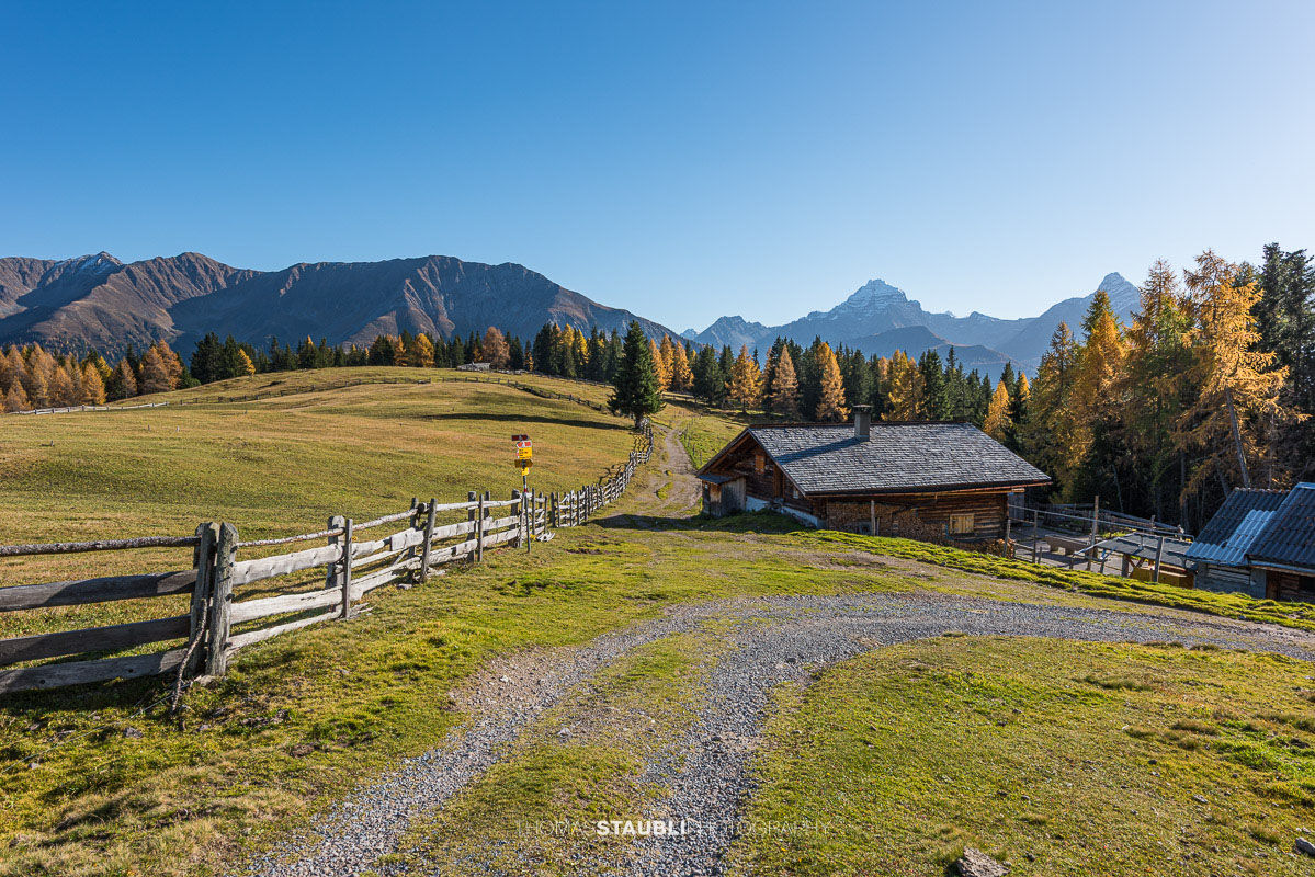 Wiesner Alp mit traditioneller Alphütte, herbstlichen Wiesen und goldgelben Lärchen.