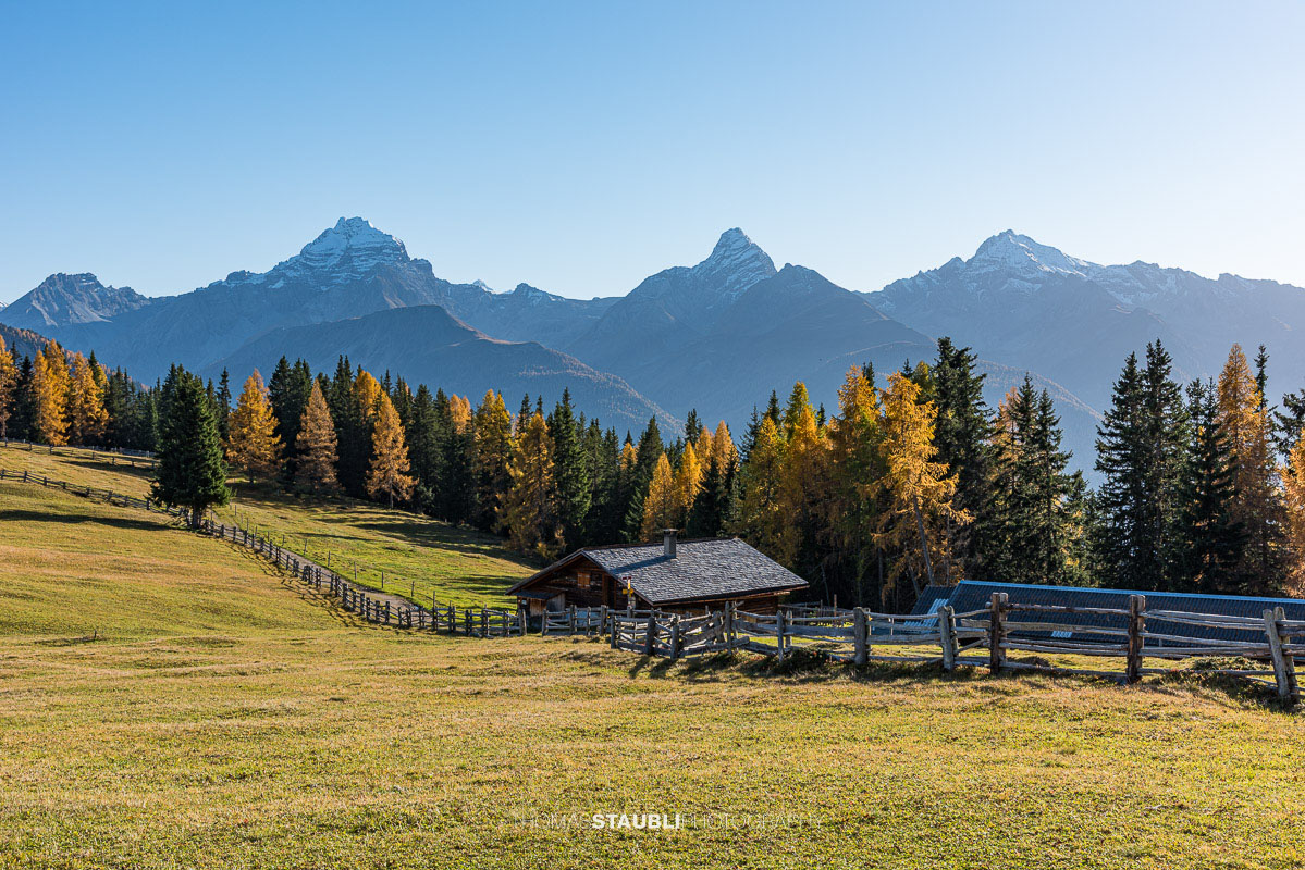 Wiesner Alp mit traditioneller Alphütte und herbstlichen Wiesen, im Hintergrund Piz Ela, Corn da Tinizong und Piz Mitgel.