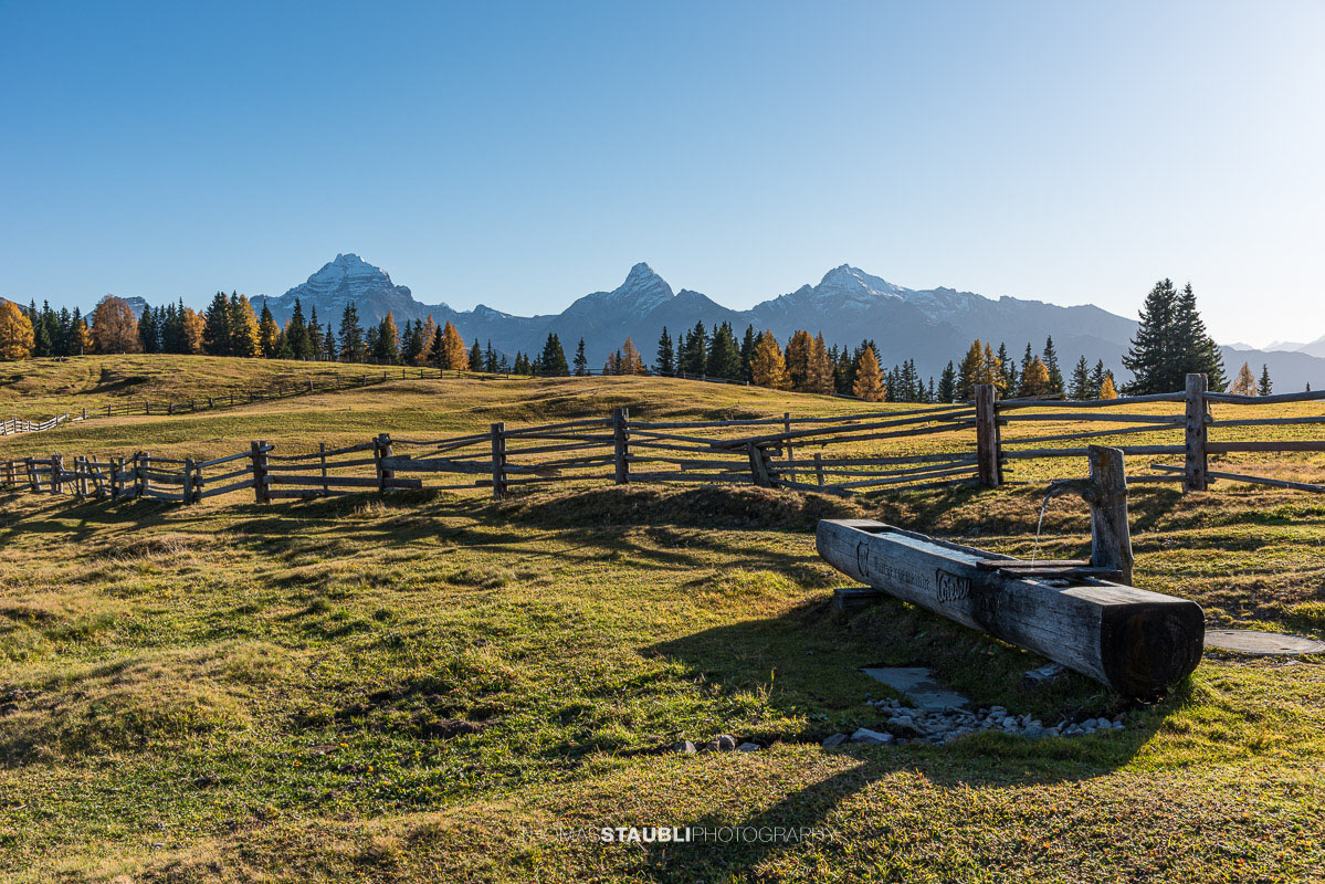 Trinkbrunnen auf der Wiesner Alp mit herbstlichen Wiesen, im Hintergrund Piz Ela, Corn da Tinizong und Piz Mitgel.