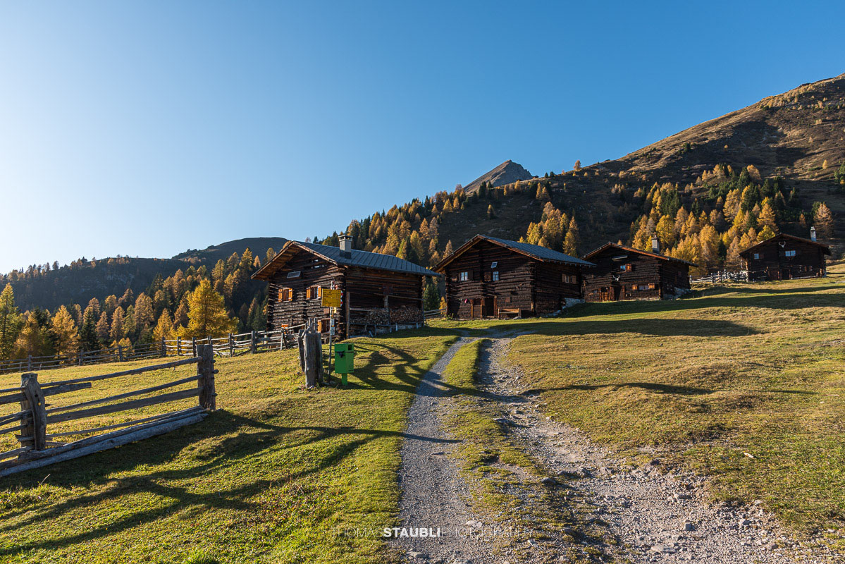 Wiesner Alp mit traditionellen Alphütten, herbstlichen Wiesen und goldgelben Lärchen.