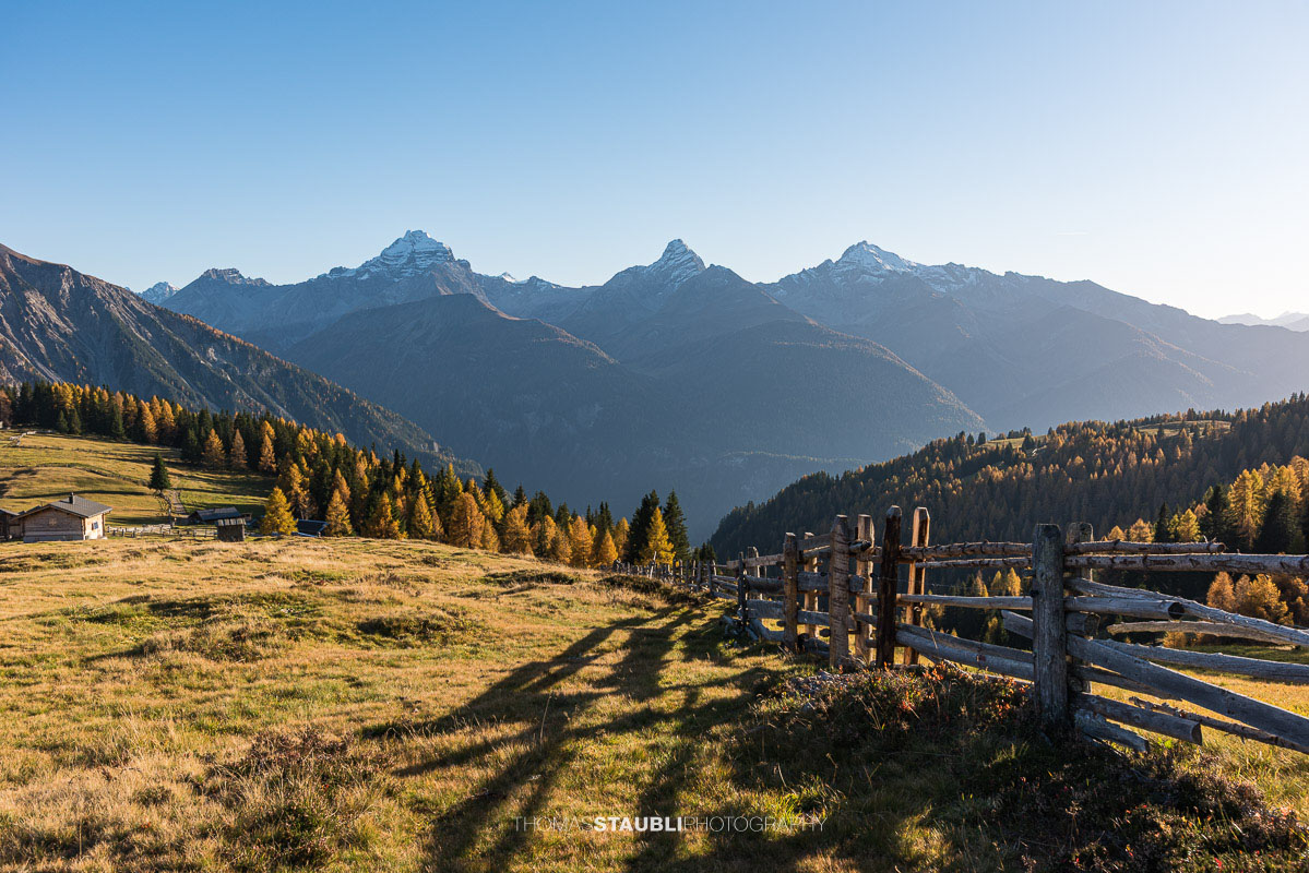 Wiesner Alp mit herbstlichen Wiesen, im Hintergrund Piz Ela, Corn da Tinizong und Piz Mitgel.