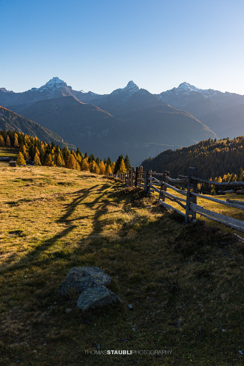 Wiesner Alp mit herbstlichen Wiesen, im Hintergrund Piz Ela, Corn da Tinizong und Piz Mitgel.