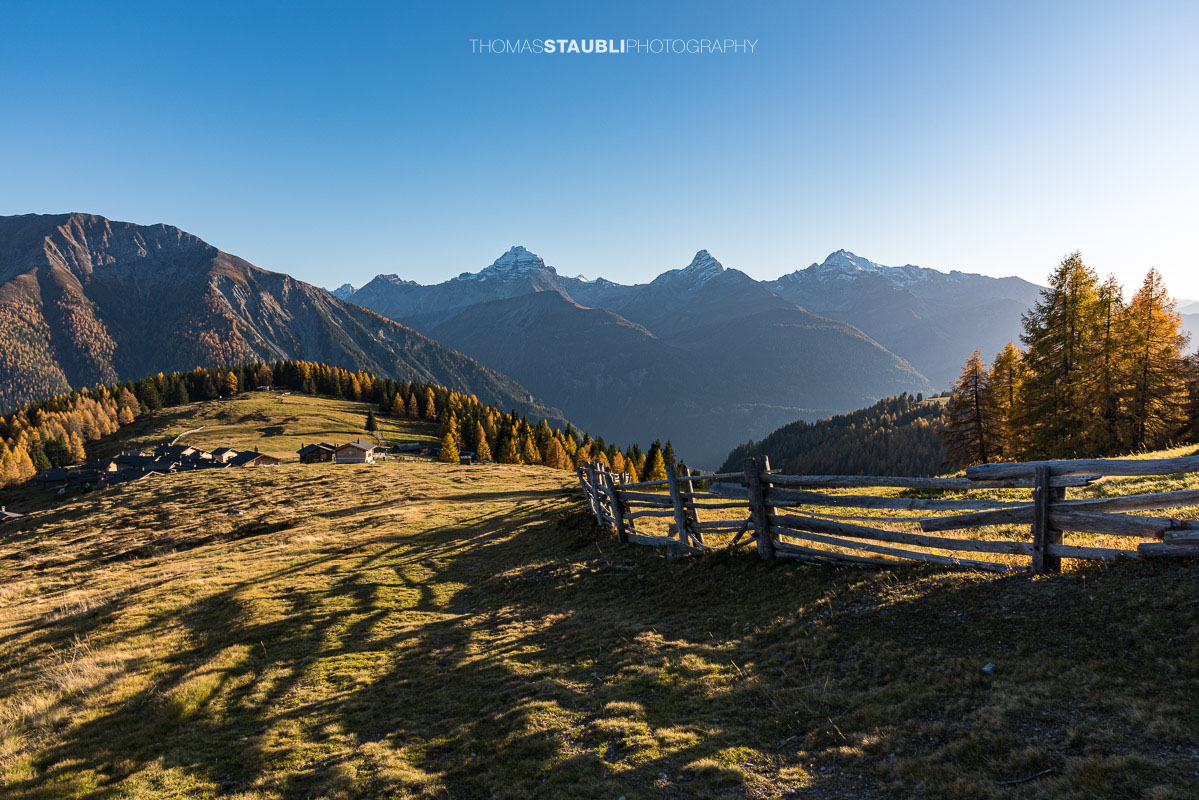 Wiesner Alp mit herbstlichen Wiesen, im Hintergrund Piz Ela, Corn da Tinizong und Piz Mitgel.