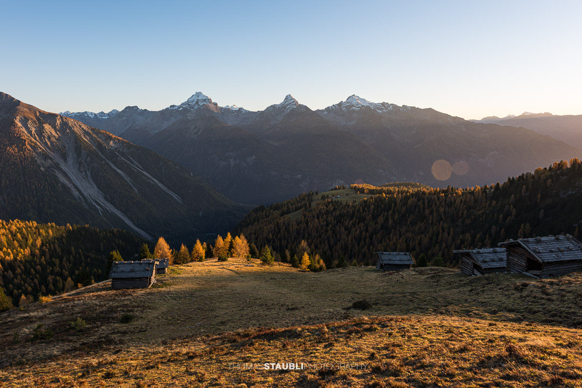 letzte warme Sonnenstrahlen bescheinen die herbstlichen Lärchen auf der Wiesner Alp