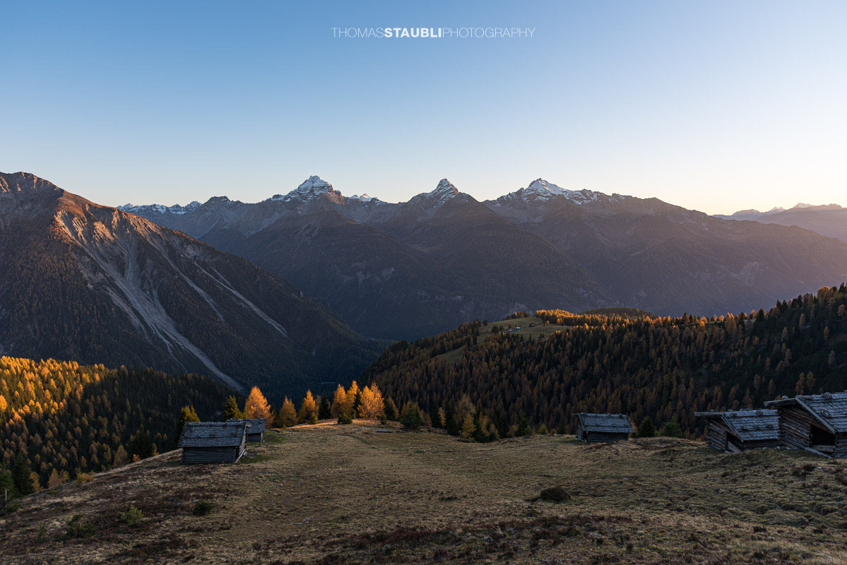 letzte warme Sonnenstrahlen bescheinen die herbstlichen Lärchen auf der Wiesner Alp