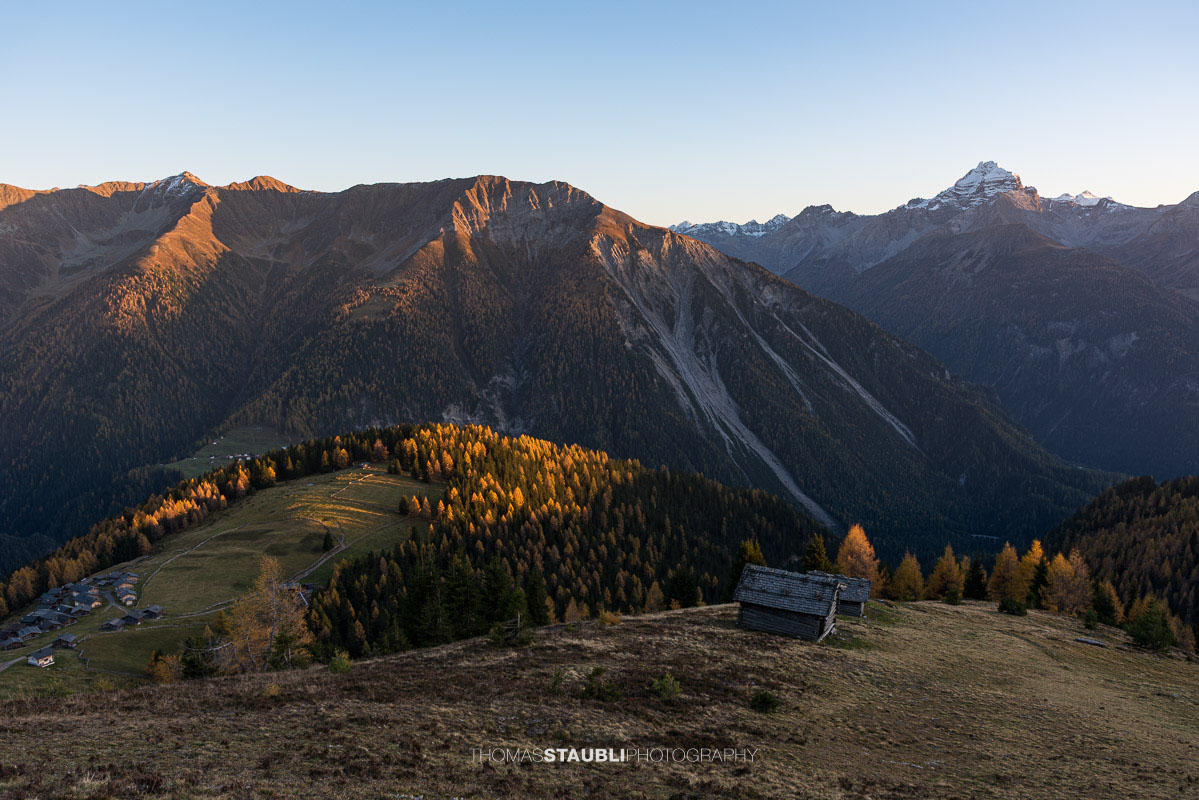 letzte warme Sonnenstrahlen bescheinen die herbstlichen Lärchen auf der Wiesner Alp