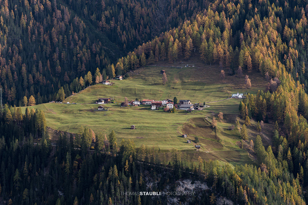 Jenisberg gegenüber der Wiesner Alp