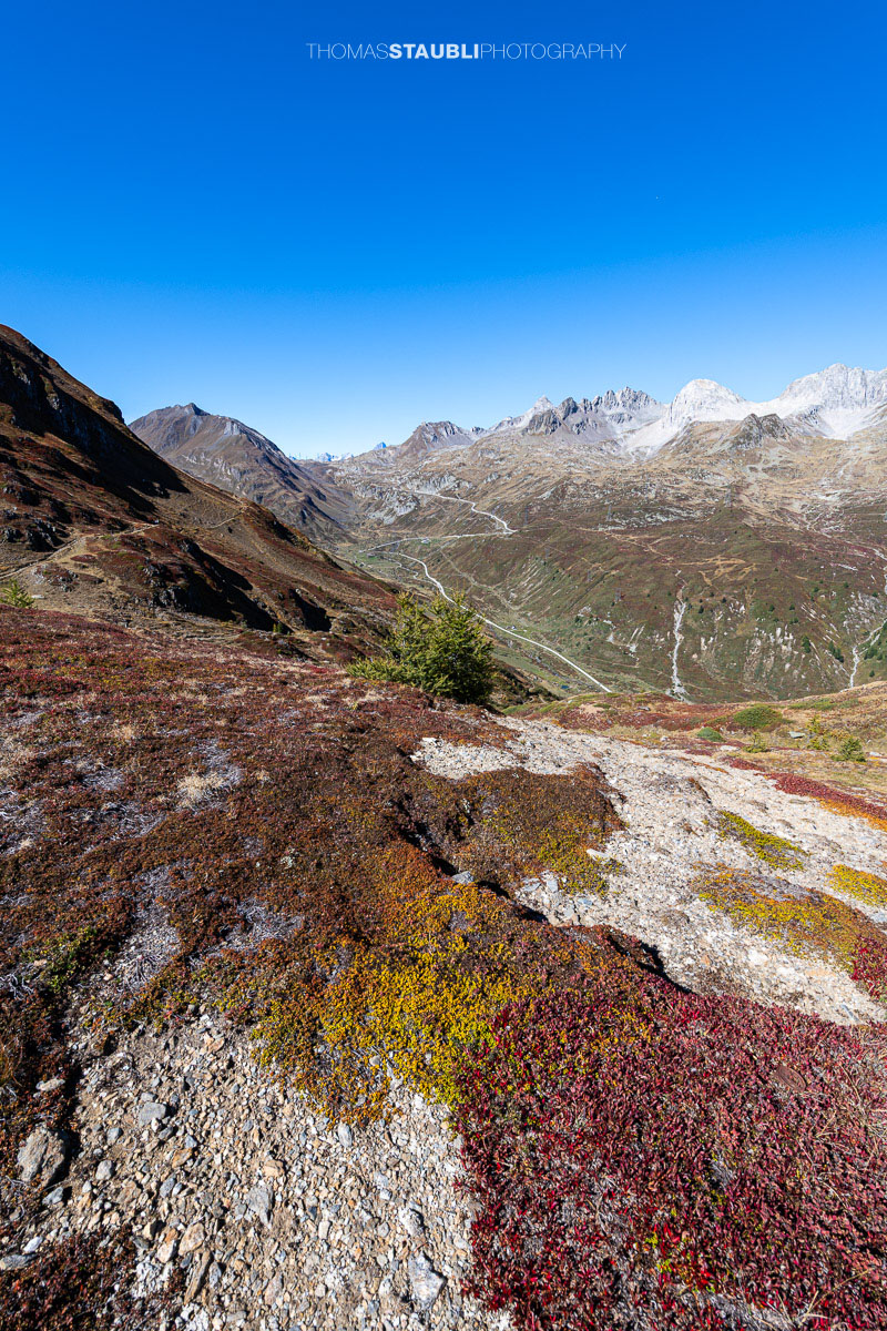 Blick vom Panoramaweg über das Val Bedretto mit herbstlich gefärbter Vegetation, weiten Berghängen und markanten Gipfeln.