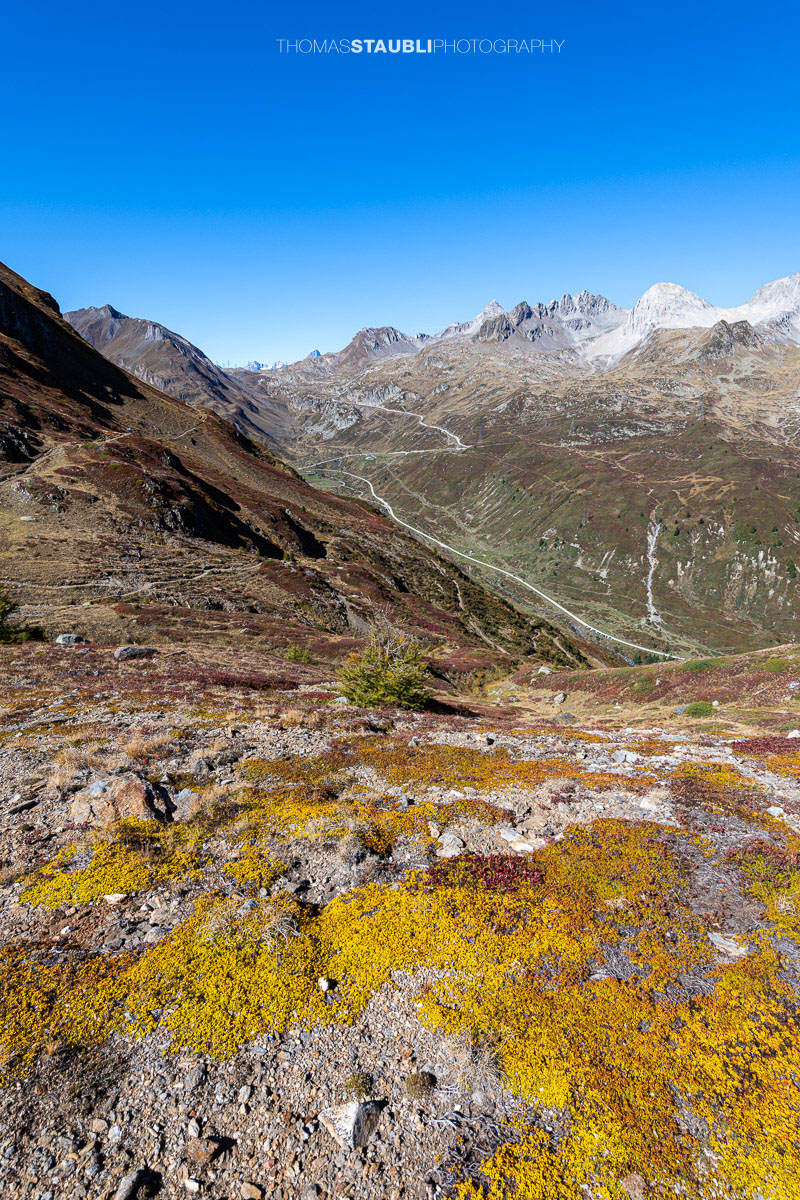 Blick vom Panoramaweg über das Val Bedretto mit herbstlich gefärbter Vegetation, weiten Berghängen und markanten Gipfeln.
