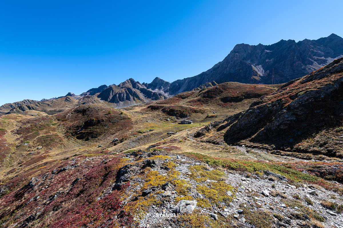 Blick vom Panoramaweg über das Val Bedretto mit herbstlich gefärbter Vegetation, weiten Berghängen und markanten Gipfeln.