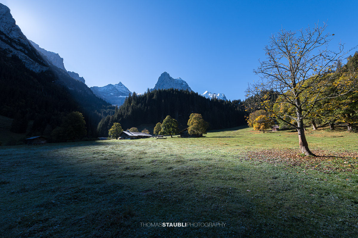 Herbstliche Morgenstimmung auf einer Wiese im Rychenbachtal mit dem Klein Wellhorn im Hintergrund und ersten Sonnenstrahlen über den Bergflanken.