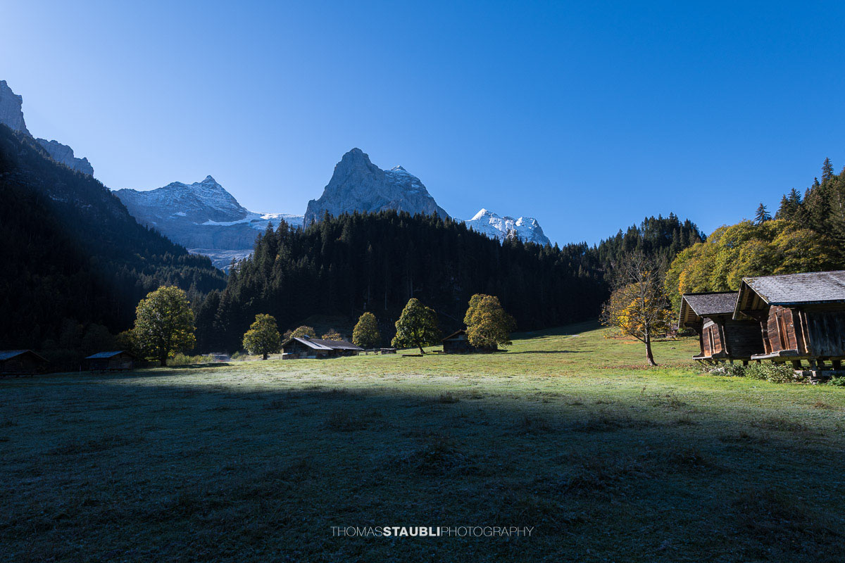 Herbstliche Morgenstimmung auf einer Wiese im Rychenbachtal mit dem Klein Wellhorn im Hintergrund und ersten Sonnenstrahlen über den Bergflanken.