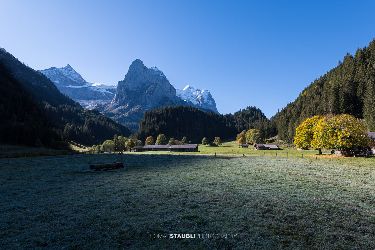 Herbstliche Morgenstimmung auf einer Wiese im Rychenbachtal mit dem Klein Wellhorn im Hintergrund und ersten Sonnenstrahlen über den Bergflanken.