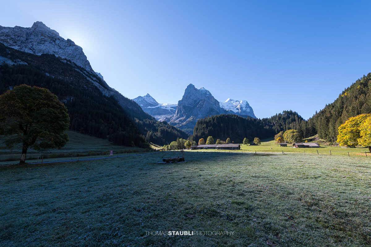 Herbstliche Morgenstimmung auf einer Wiese im Rychenbachtal mit dem Klein Wellhorn im Hintergrund und ersten Sonnenstrahlen über den Bergflanken.