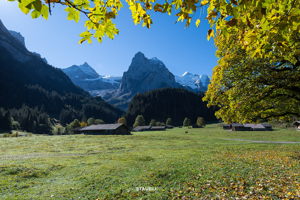 Herbstfarben im Rychenbachtal