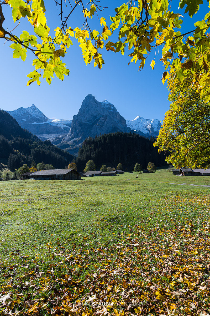 Herbstfarben im Rychenbachtal