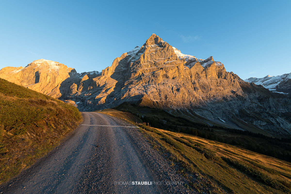 Scheideggwetterhorn im warmen Abendlicht