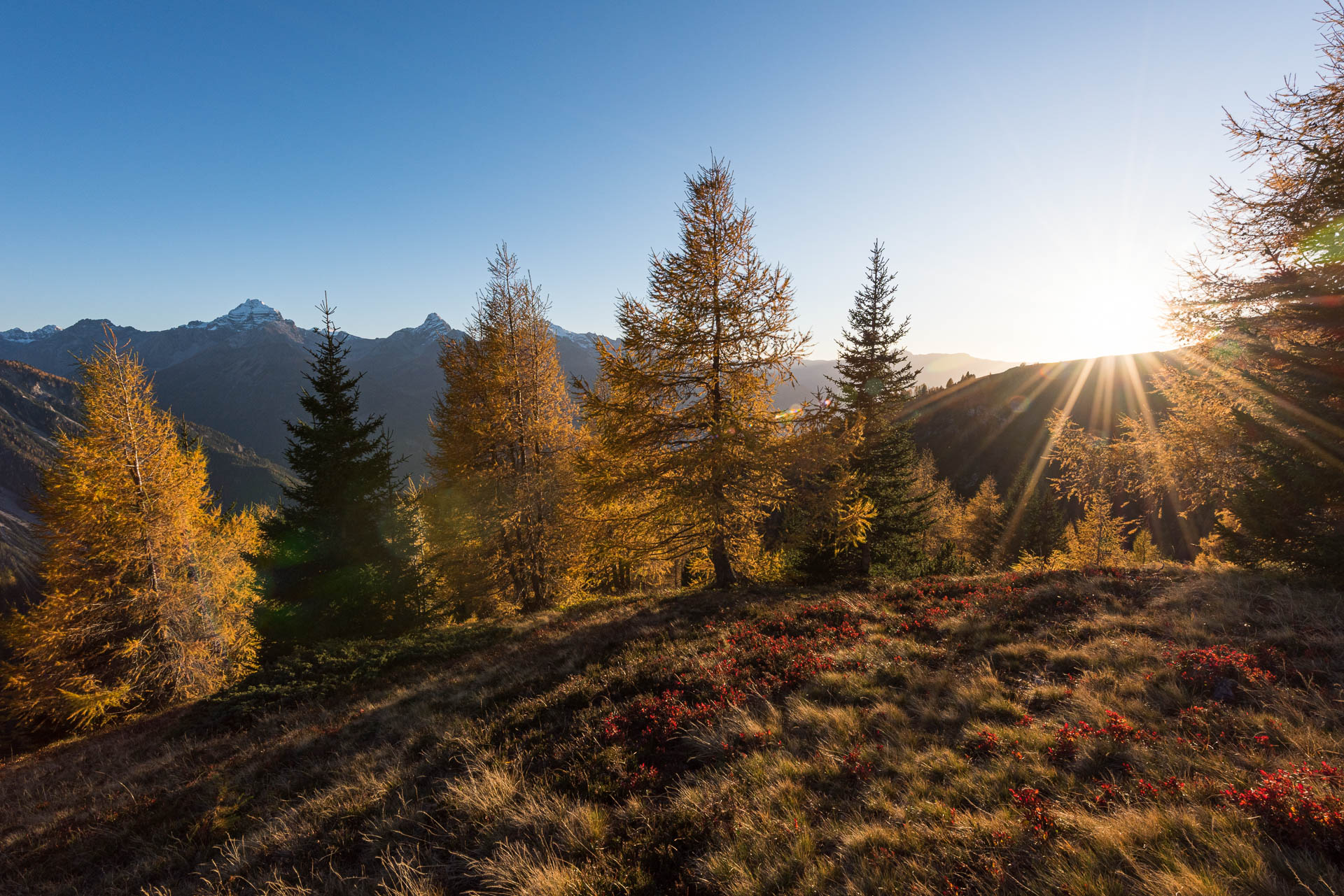 Wiesner Alp