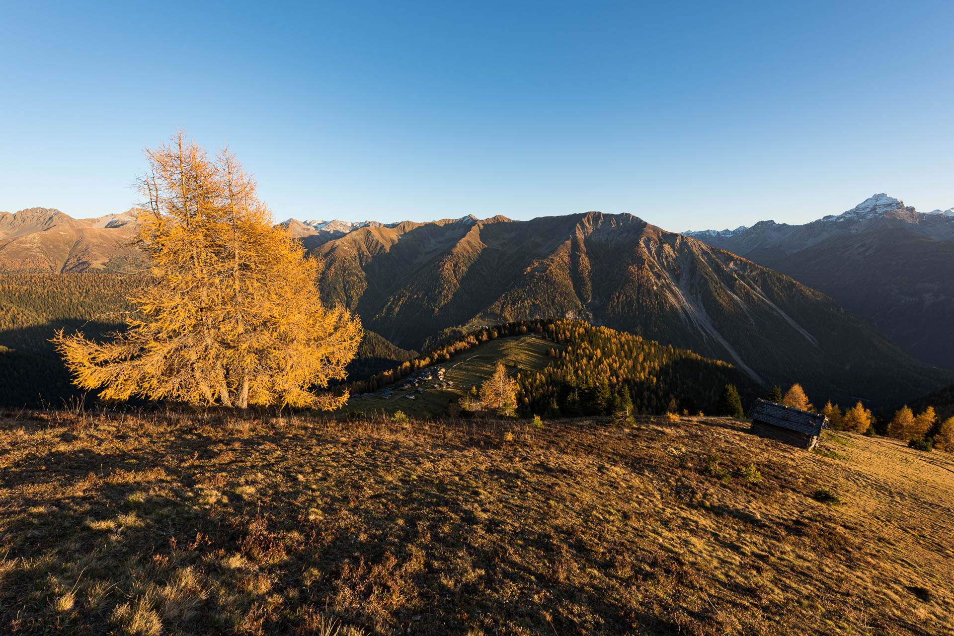 Wiesner Alp