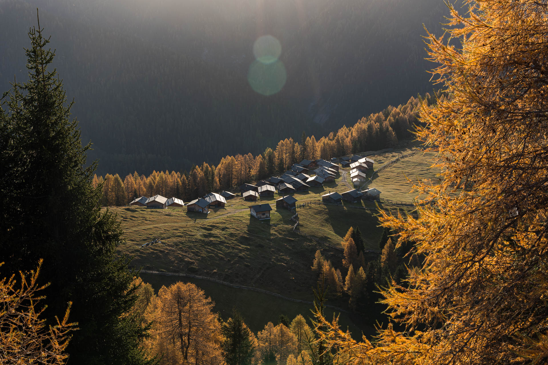Wiesner Alp