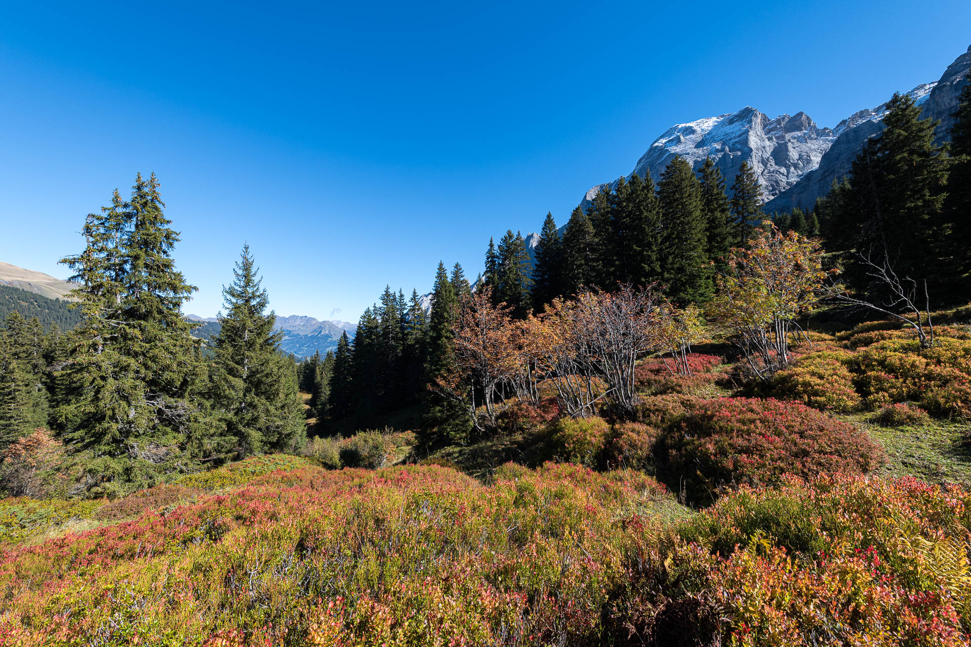 Rychenbachtal