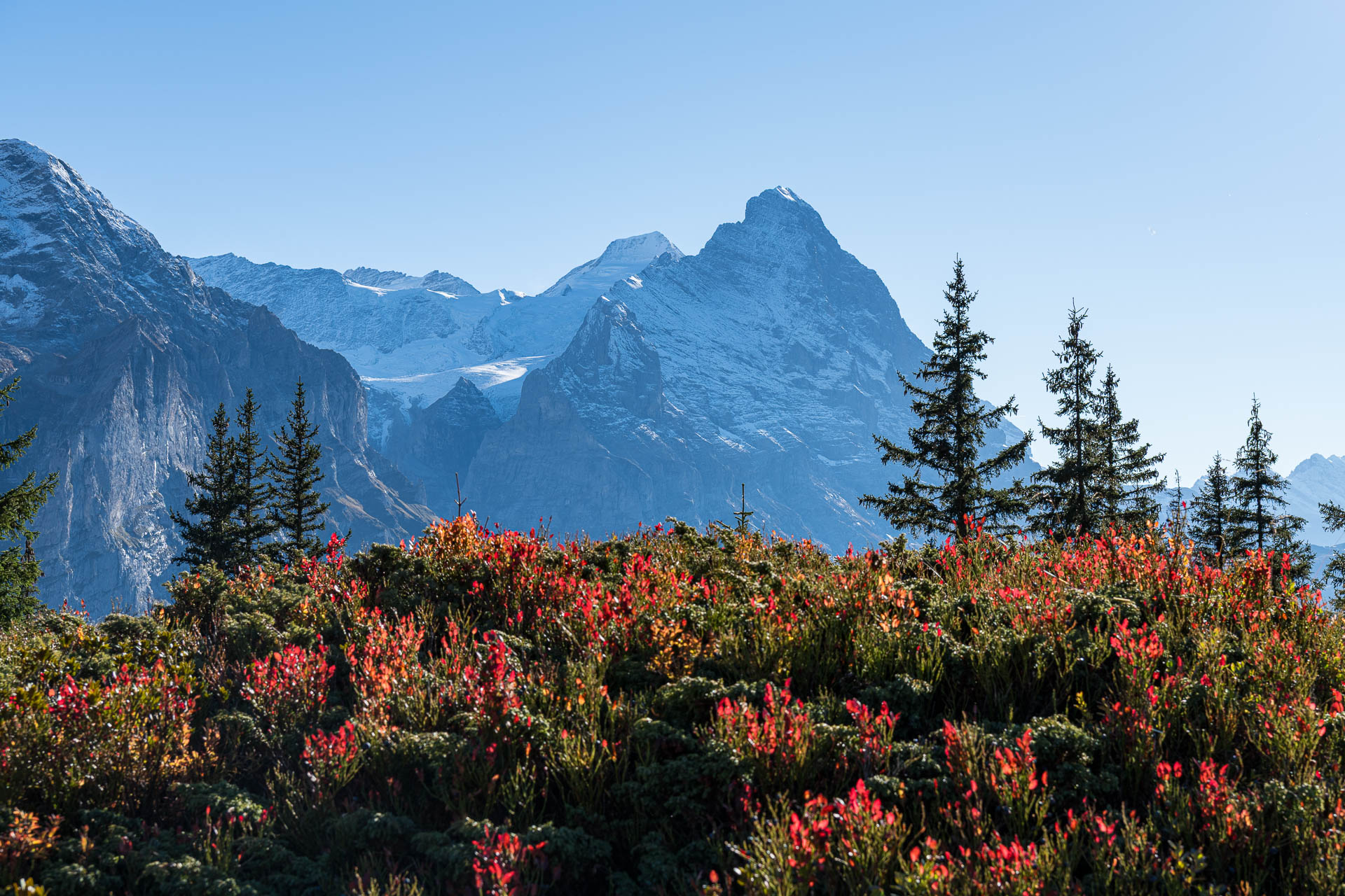 Grosse Scheidegg
